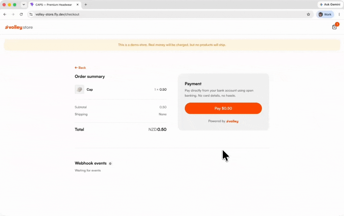 Accepting a payment with the Embed